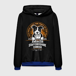 Толстовка-худи мужская Американский Стаффордширский Терьер, цвет: 3D-синий