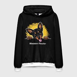 Толстовка-худи мужская Пинчер Miniature Pinscher, цвет: 3D-белый