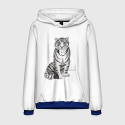 Толстовка-худи мужская Сидящая белая тигрица, цвет: 3D-синий