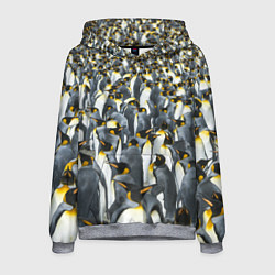 Мужская толстовка Пингвины Penguins