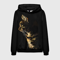 Толстовка-худи мужская Задумчивый полосатый кот, цвет: 3D-черный