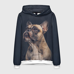 Толстовка-худи мужская Голова французского бульдога, цвет: 3D-белый