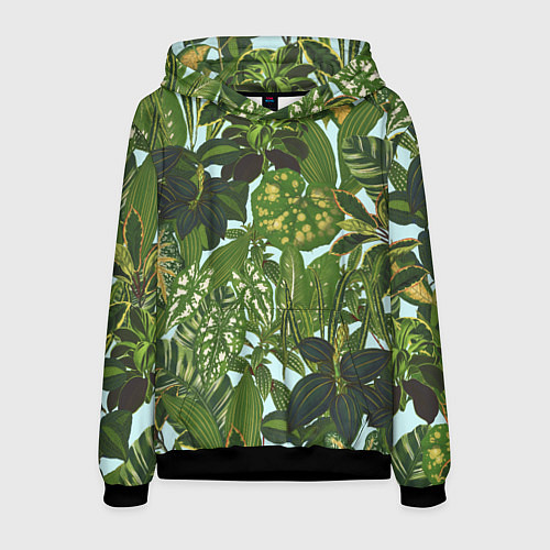 Мужская толстовка Зеленые Тропические Растения / 3D-Черный – фото 1