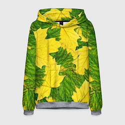 Толстовка-худи мужская Осенние кленовые листья, цвет: 3D-меланж