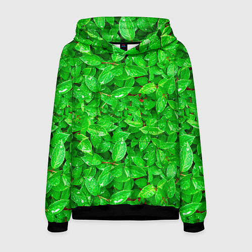 Мужская толстовка Зелёные листья - текстура / 3D-Черный – фото 1