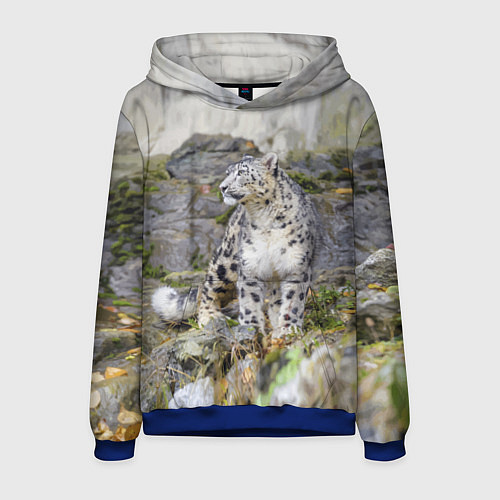 Мужская толстовка Снежный барс среди скал / 3D-Синий – фото 1
