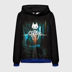 Мужская толстовка Stray кот в ночи