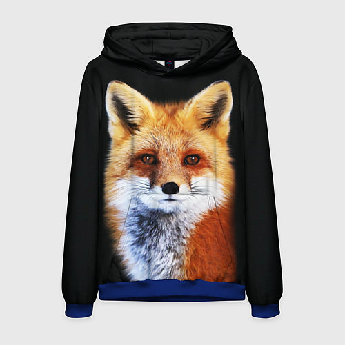 Мужская толстовка Лиса рыжулька / 3D-Синий – фото 1