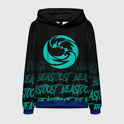 Мужская толстовка Beastcoast