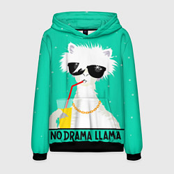 Толстовка-худи мужская Лама no drama llama, цвет: 3D-черный