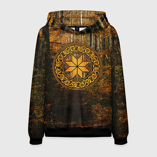 Мужская толстовка Алатырь на фоне леса / 3D-Черный – фото 1