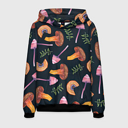 Толстовка-худи мужская Goblincore - болотные грибы, цвет: 3D-черный