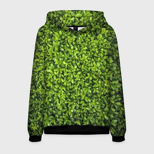 Мужская толстовка Зелёная трава листья / 3D-Черный – фото 1