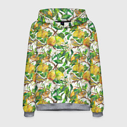 Толстовка-худи мужская Груша и птичка зеленушка, цвет: 3D-меланж