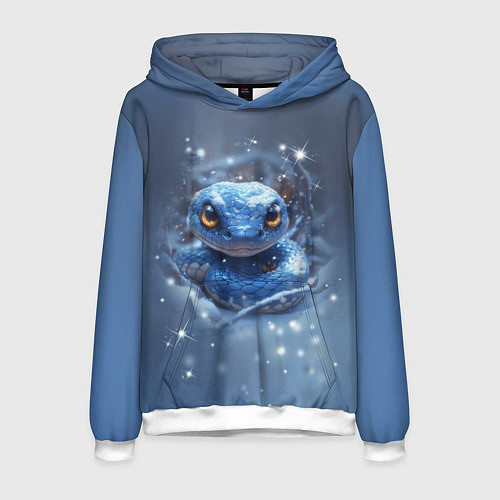 Мужская толстовка Змея с большими глазами / 3D-Белый – фото 1