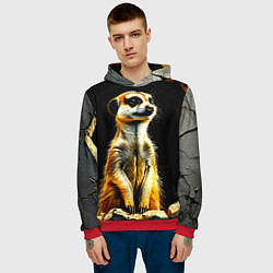 Толстовка-худи мужская Сурикат на черном, цвет: 3D-красный — фото 2