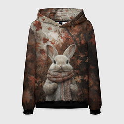 Толстовка-худи мужская Зайчишка в шарфе, цвет: 3D-черный
