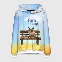 Толстовка-худи мужская Пародия Форрест Гамп - кот на скамейке, цвет: 3D-белый