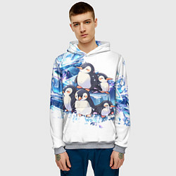 Толстовка-худи мужская Пингвины и лёд, цвет: 3D-меланж — фото 2