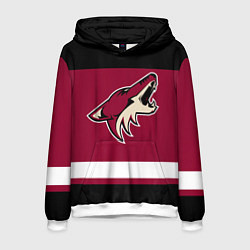 Толстовка-худи мужская Arizona Coyotes, цвет: 3D-белый