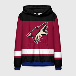 Толстовка-худи мужская Arizona Coyotes, цвет: 3D-синий