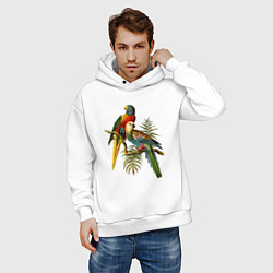 Толстовка оверсайз мужская Тропические попугаи, цвет: белый — фото 2