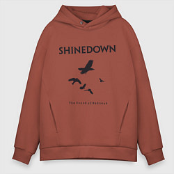 Толстовка оверсайз мужская Shinedown: Sound of Madness цвета кирпичный — фото 1
