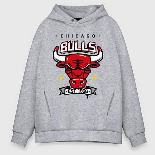 Мужское худи оверсайз Chicago Bulls est. 1966 / Меланж – фото 1