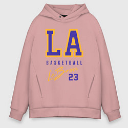Толстовка оверсайз мужская Lebron 23: Los Angeles, цвет: пыльно-розовый