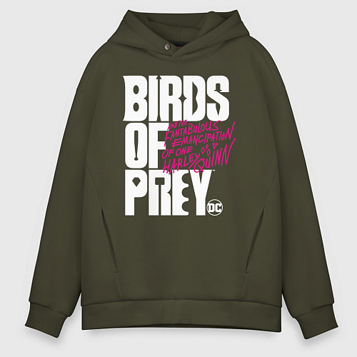 Мужское худи оверсайз Birds of Prey logo / Хаки – фото 1