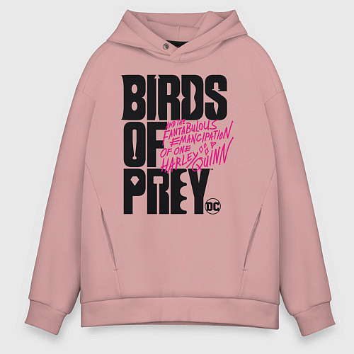 Мужское худи оверсайз Birds of Prey logo / Пыльно-розовый – фото 1