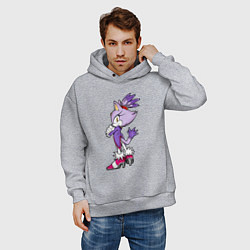 Толстовка оверсайз мужская SONIC Кошка Блейз, цвет: меланж — фото 2