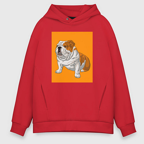 Мужское худи оверсайз Английский бульдог собака / Красный – фото 1