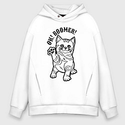 Толстовка оверсайз мужская Ok! Boomer! Kitten, цвет: белый