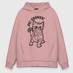 Мужское худи оверсайз Ok! Boomer! Kitten