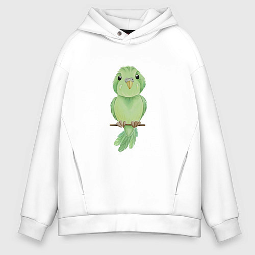 Мужское худи оверсайз Зелёная птица / Белый – фото 1