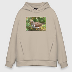 Толстовка оверсайз мужская Кукушка в ветках ели, цвет: миндальный