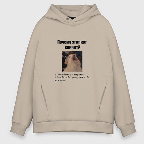 Мужское худи оверсайз Почему этот кот кричит? / Миндальный – фото 1