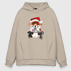 Мужское худи оверсайз Christmas smile foxy