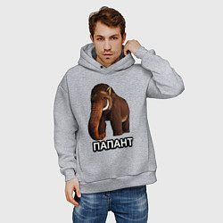 Толстовка оверсайз мужская Мамонт папант, цвет: меланж — фото 2
