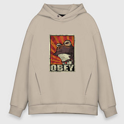 Мужское худи оверсайз Obey frog