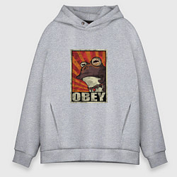 Толстовка оверсайз мужская Obey frog, цвет: меланж