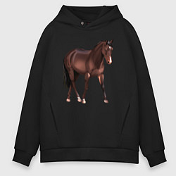 Толстовка оверсайз мужская Австралийская пастушья лошадь, цвет: черный