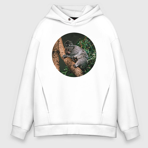 Мужское худи оверсайз Коала уснула / Белый – фото 1