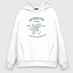 Толстовка оверсайз мужская Ферма Шрутов, цвет: белый