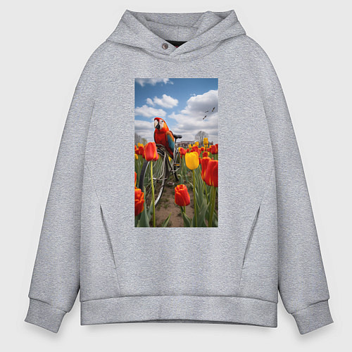 Мужское худи оверсайз Попугай на велосипеде / Меланж – фото 1