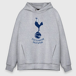 Мужское худи оверсайз Tottenham Hotspur fc sport