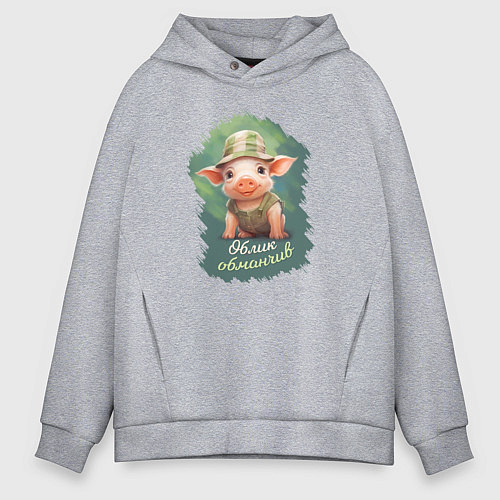Мужское худи оверсайз Милый поросёнок обманчивого вида / Меланж – фото 1