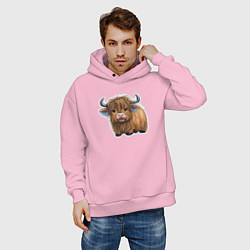 Толстовка оверсайз мужская Шотландский волосатый бык, цвет: светло-розовый — фото 2