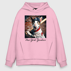 Мужское худи оверсайз Bull terrier - New York yankees baseball team